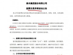 收获两涨停板后转跌 泰禾集团：累计违约金额达495.63亿元