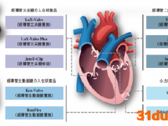 健世科技二次递表港交所：核心产品未获批上市短期盈利难 LuX