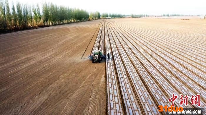 随着气温回升，新疆阿瓦提县131万亩棉花播种工作全面展开。 麦吾兰江·莫明 摄