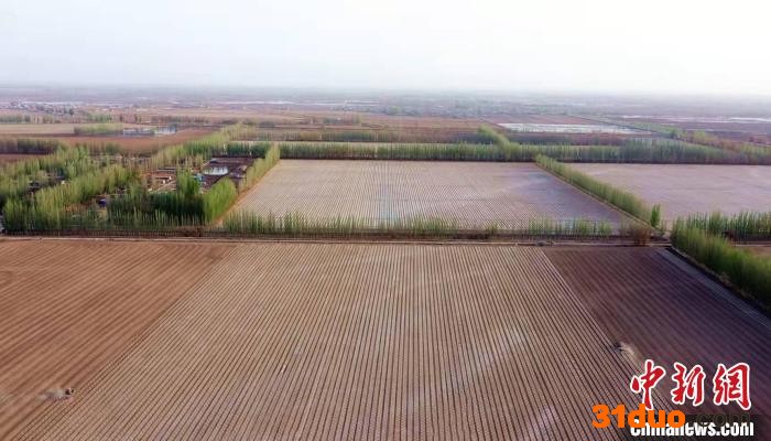 航拍“中国长绒棉之乡”新疆阿瓦提131万亩棉花开播