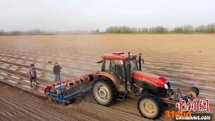 在阿瓦提县三河镇琼库尔艾肯村，装有北斗导航自动驾驶系统的精量播种机正按照预先设定的线路进行精量播种。 麦吾兰江·莫明 摄