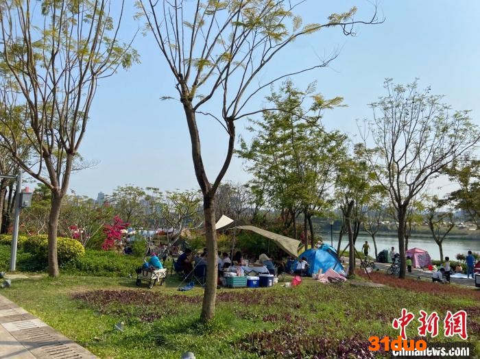 南宁市民在邕江边露营踏青。 林洁琪 摄
