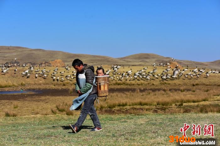 图为投食完毕，赵炳祥背着孩子回家。 郑远见 摄