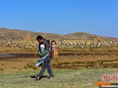 【十年@每一个奋斗的你】一家两代三人：护鹤员30余年接力守护“高原精灵”