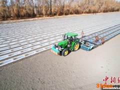 智慧农机显身手 新疆兵团棉花春播显“科技范”