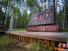 通讯：内蒙古大兴安岭：70年，“绿色王国”奏响森林变奏曲