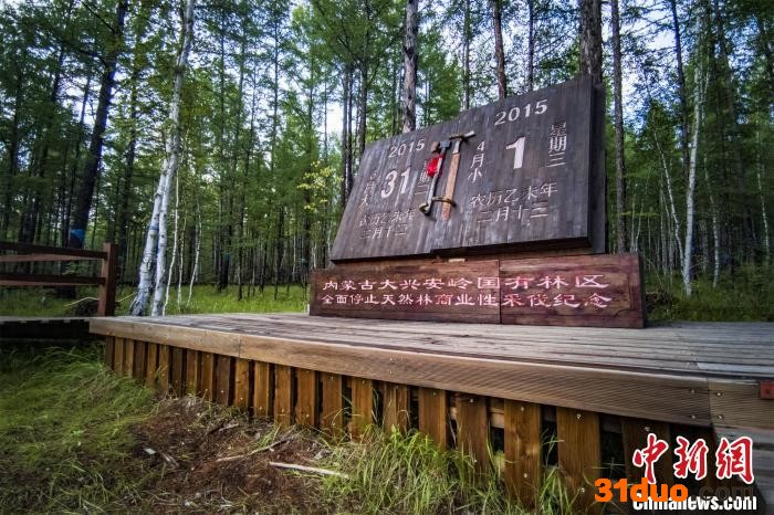 图为内蒙古大兴安岭停伐纪念碑。 内蒙古森工集团供图