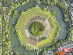 航拍杭州八卦田遗址 浓郁春色吸引游人