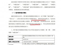 蓝光发展：已完成资产和负债底数的摸排形成了风险化解方案雏形