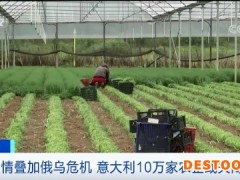 这个国家宣布：10万家农企或将关闭！
