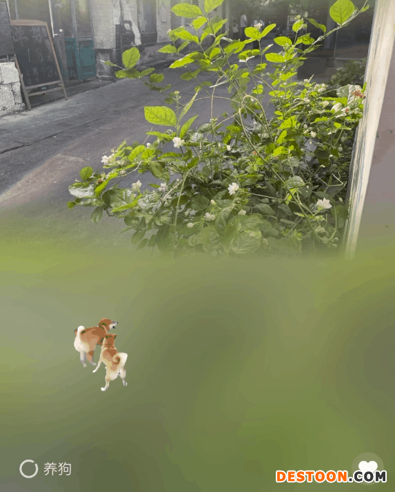 微信农场偷偷上线你玩了吗？网友：QQ被抄麻了