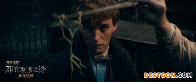《神奇动物：邓布利多之谜》嗅嗅护树罗锅爆塑料情