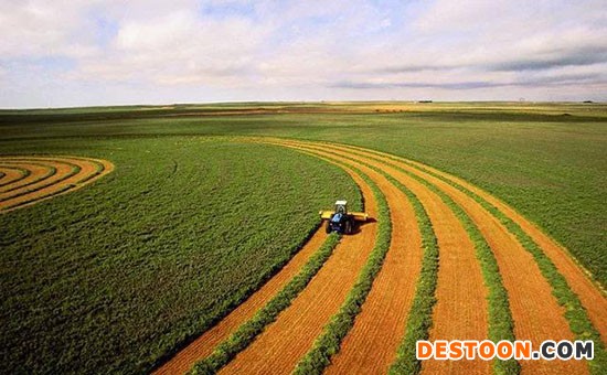 1647594635440213.jpeg 粮食.jpeg