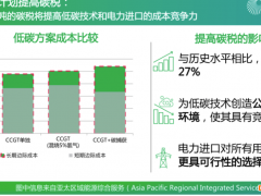 新加坡碳税增至16倍将提高低碳技术和电力进口的成本竞争力