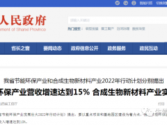 山西省：2022年，重点建设以金晖兆隆、华阳集团为主体的......