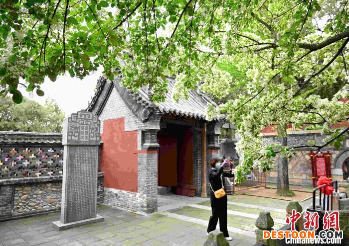 资料图：山东泰山王母池4月14日恢复开放。 刘春莲 摄