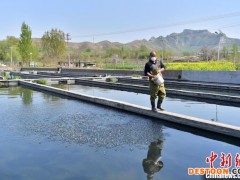 河北石家庄井陉县：特色养殖富农家