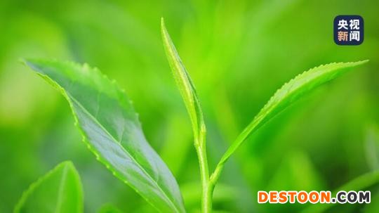 准备好了吗？与锦绣山河不期而遇