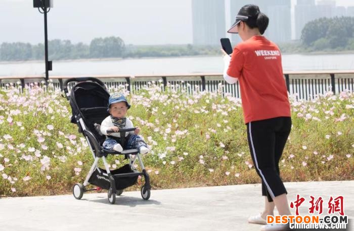 图为市民赏花。 陈晓静 摄