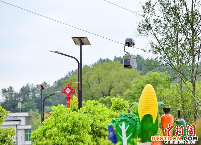 4月14日，江西赣州市安远县鹤子镇阳佳村，装载着农货的智慧物流运输快线“穿梭机器人”在低空索道穿行。 朱海鹏 摄