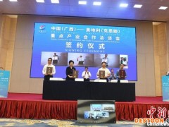 广西与奥地利克恩滕加强重点产业合作 推动友好关系发展