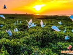 广西开展全民所有自然资源资产所有权委托代理机制试点