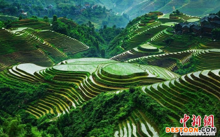 试点工作重点探索全民所有土地、矿产、海洋、森林、草原、湿地、水等7类自然资源资产所有权委托代理机制。 广西自然资源厅 供图