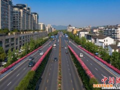 浙江杭州“空中花廊”如约而至 200万株月季装点城市高架