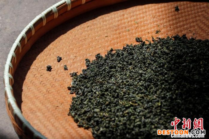 烘焙中的茶叶。 施亚磊 摄