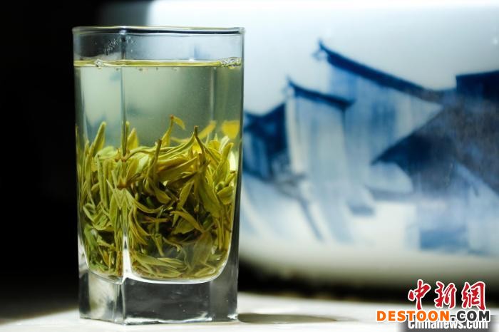 歙县溪头镇是滴水香茶叶的主产区和原产地，年产滴水香茶20万斤，一产产值约4000万元。 施亚磊 摄