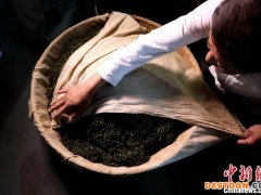 【十年@每一个奋斗的你】浙江德清“国茶工匠”：一脉匠心传承 手捻氤氲茶香