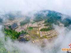 航拍江西乡村四月风光 云雾缭绕美如画