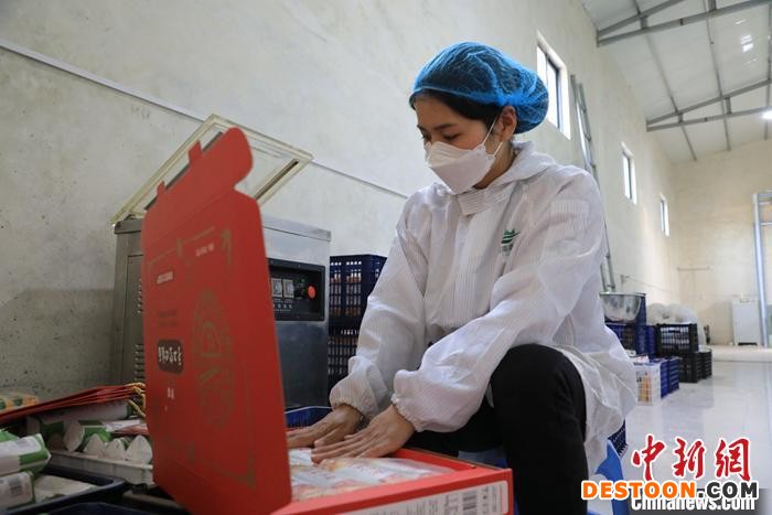 图为工人们在包装挂面。 邓小强 摄