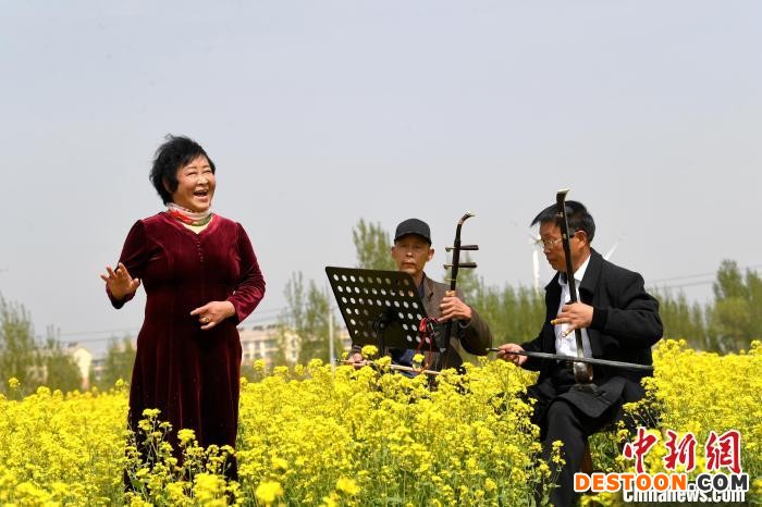 4月18日码头镇大龙湾村油菜花盛开绽放，当地戏曲爱好者在油菜花中表演。 苗凤强 摄