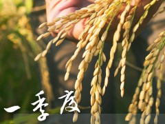 GDP同比增长4.8% 一季度多项重磅数据公布!
