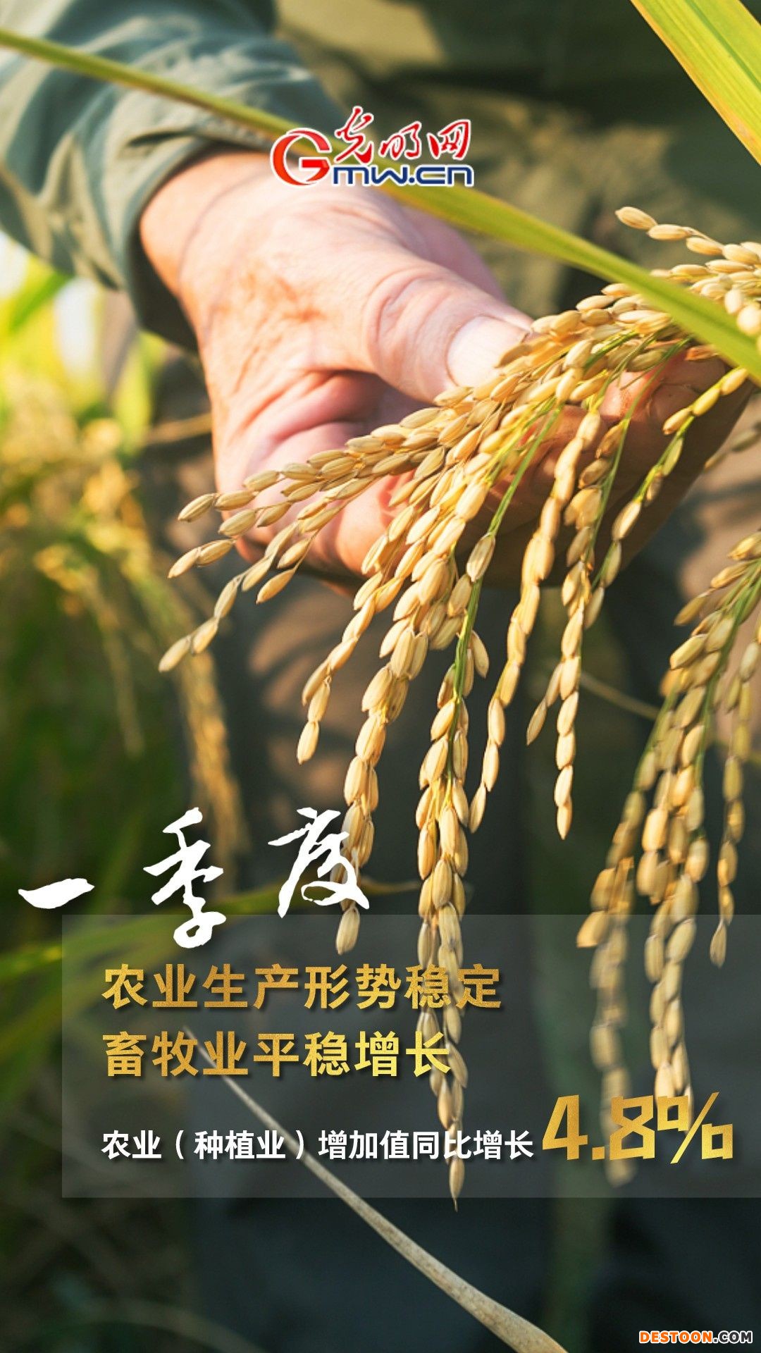 GDP同比增长4.8% 一季度多项重磅数据公布！