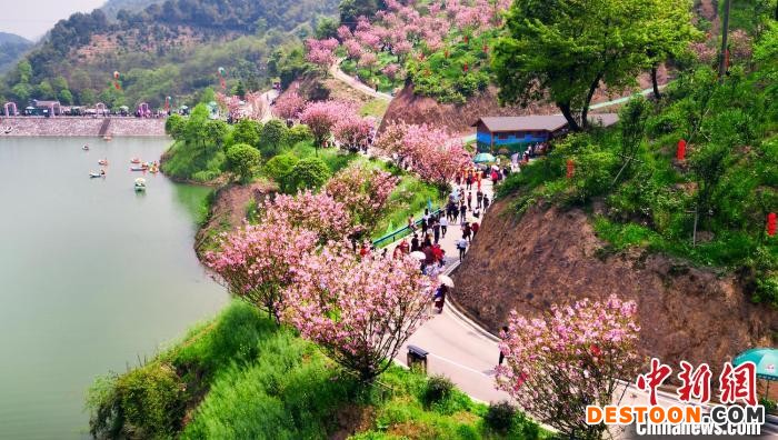 图为江西萍乡安源城郊管委会略下村煤村变身“阳光花海”。 李桂东 摄