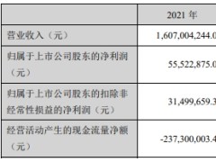 大叶股份上市后净利连降两年 IPO募资4亿海通证券保荐