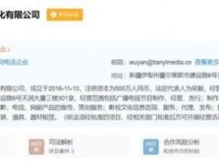 制片人吴毅公司被强制执行7540万 现已被立案侦查