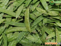 豌豆荚是不是荷兰豆？两者有什么区别？