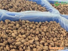 碧根果批发价格多少钱一斤？(附挑选方法)