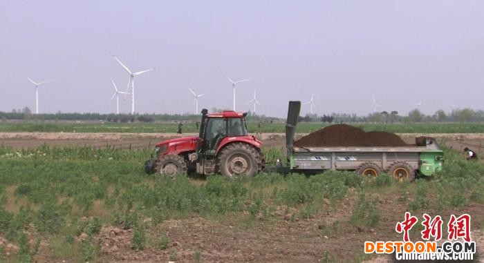 上海崇明春耕有序进行。 上海崇明融媒体中心 摄