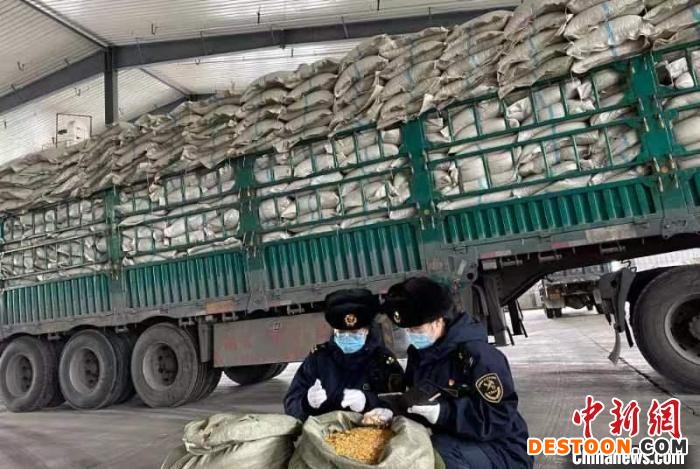 一季度黑龙江货物贸易进出口值“逆市”增三成“一带一路”沿线国家贡献大