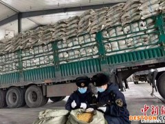 一季度黑龙江货物贸易进出口值“逆市”增三成  “一带一路”沿线国家贡献大