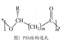 2022年处于风口上的可生物降解材料PHA究竟是什么？