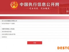 长虹电器新增一条被执行人信息 执行标的超104万元