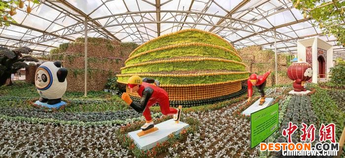 图为菜博会现场的“一起向未来”主题展。 刘敏 摄