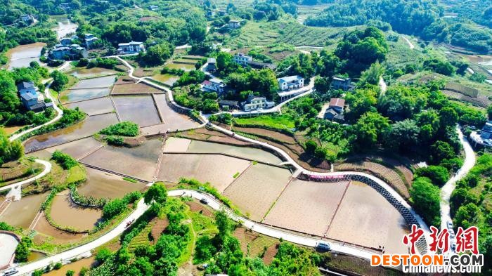 高标准农田。 杨尚威 摄