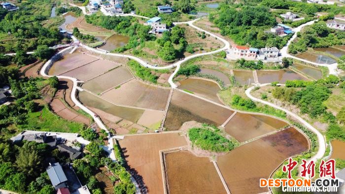 高标准农田。 杨尚威 摄