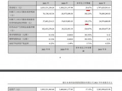 德尔未来2021年营收增加29.7%毛利率创五年新低 总负债增长超三成